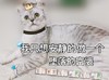 萌宠 汪星人 我只想安静的做一个富婆 有钱人 搞怪 逗