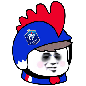 法国 世界杯 外卖头盔 头盔