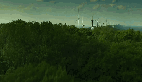 森林 纪录片 航拍美国 风景 风车