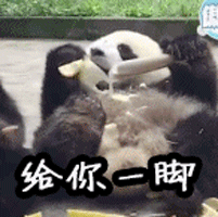 熊猫 给你一脚