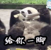 熊猫 给你一脚