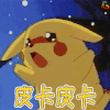 皮卡丘 皮卡 soogif