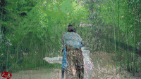 陈晓 饰演 神雕侠侣 电视剧 杨过