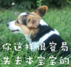 萌宠 可爱 搞笑 文字表情包 汪星人
