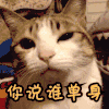 猫 眨眼 你说谁单身