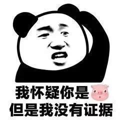 暴漫 熊猫头 我怀疑你是猪 但是我没有证据 搞怪 逗