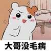小熊 可爱 胖嘟嘟 大哥没毛病