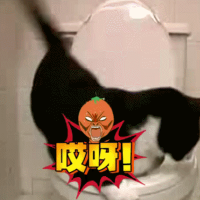 汪星人 狗狗 可愛 萌寵 狗