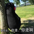 熊本熊 搞笑 可爱 倚树 那你走 你走你走啊