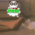 喵星人 猫 可爱 萌宠