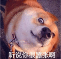 狗 嚣张