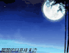 黑夜 圆月 文字 星空