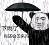 萌宠 猫星人 下雨了 你还会回来吗 搞怪 逗