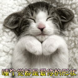 睡个觉都是爱你的形状 猫咪 可爱
