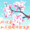 心情心语