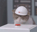 猫 红色按钮 可爱 爆炸