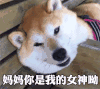 母亲节 母亲节快乐