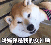 母亲节 母亲节快乐