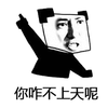 上天 熊猫头 生气 搞笑 逗
