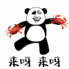 来呀 螃蟹 熊猫头 蟹蟹 谢谢