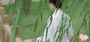 青春  肖奈  男神  大神  杨洋 郑爽 微微一笑很倾城 白衬衫
