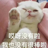 萌宠 猫星人 哎呀没有啦 我也没有很棒啦 搞怪 呆萌