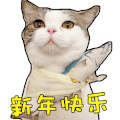 新年快乐  猫咪 大眼睛 可爱