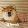 萌宠 我相信人 强力 wink 搞怪 逗