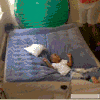 逗比 搞笑 厉害了 笑死人