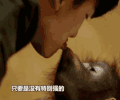 猩猩 帅哥 亲吻 可爱
