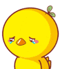 小鸡 不开心 哭泣 委屈