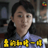 战长沙 电视剧 豆瓣高分电视剧 蠢得和猪一样 杨紫