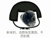 新来的 进群 发黄图 秒踢