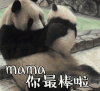 母亲节 母亲节快乐