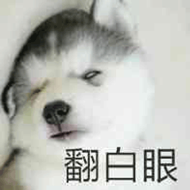 翻白眼 狗