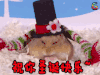 仓鼠 萌宠 祝你圣诞快乐 soogif soogif出品