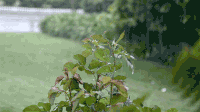 自然 下雨 景色 美丽 春雨绵绵 下雨了