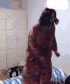 跳舞 搞笑 疯狂 牛人