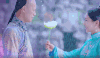 龙珠传奇 杨紫 秦俊杰