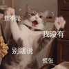 萌宠 喵星人 我没有 别瞎说 慌张