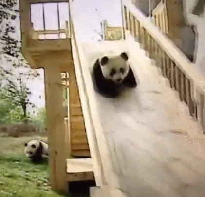 熊猫 表达 滑动