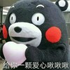给你一颗爱心啾啾啾 爱心 手捧着 大熊