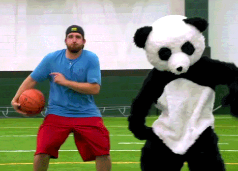 熊猫 完美的表演 篮球 跳舞