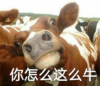 搞笑 逗 蠢萌 大杂烩 自抱自弃