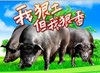 猪 我狠土 但我很香 草地