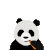 熊猫 吃东西 咬不动 胡萝卜