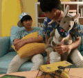 玩具 沙发 帅哥 帅气