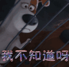 萌宠大作战 懵 我不知道呀