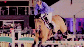 马术 Equestrianism sports 跳跃