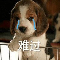 萌宠 狗 汪星人 难过 哭 伤心